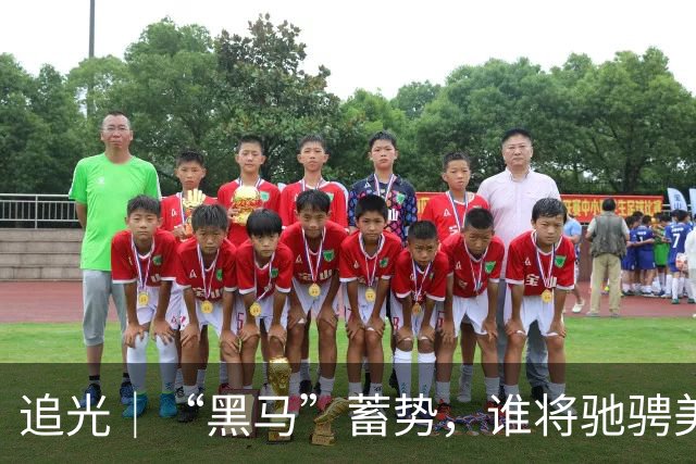 追光｜“黑马”蓄势，谁将驰骋美加墨？